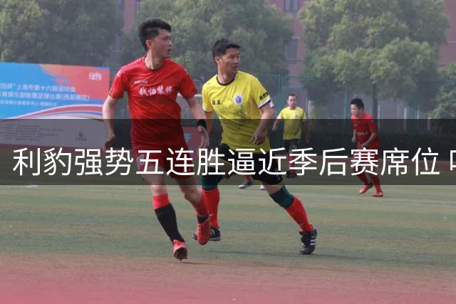 利豹强势五连胜逼近季后赛席位 哈镇终结连败魔咒