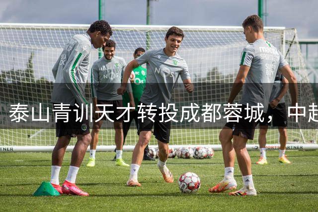 泰山青训天才转投成都蓉城，中超新贵防线再添强援